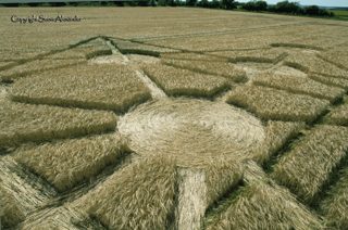 aerial of Badbury Rings from tt